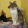 Отзыв от Лада Моргунова